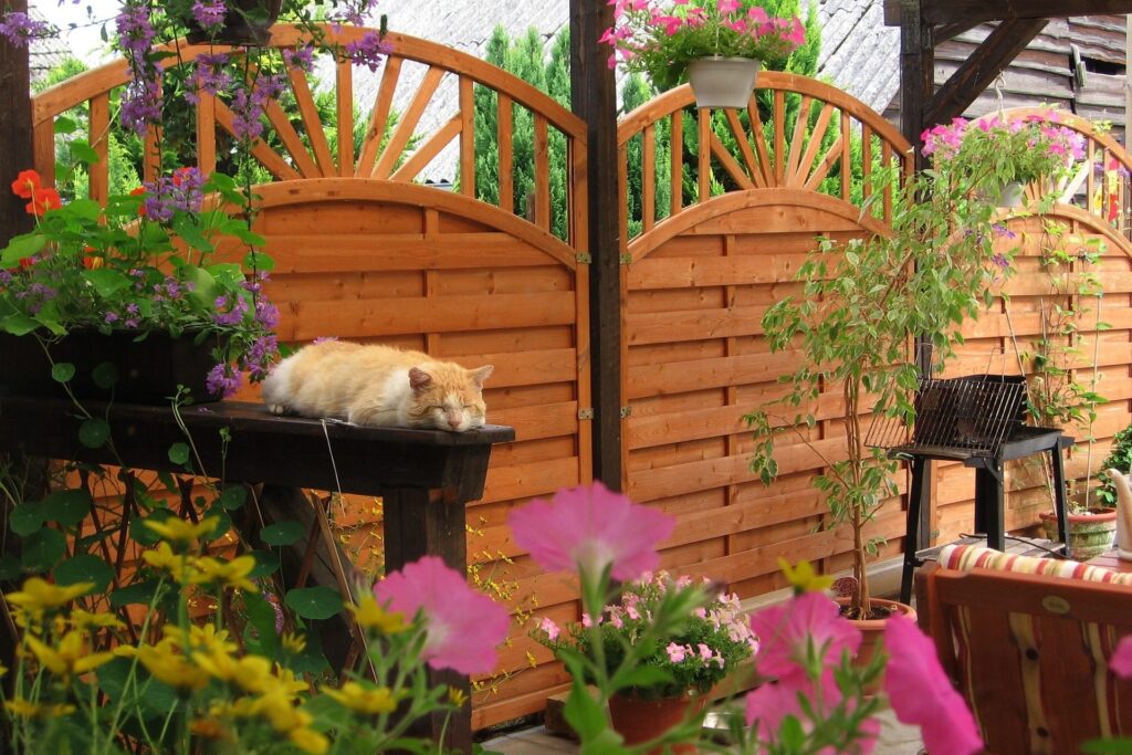 Professional Fencing contractors near Woking
